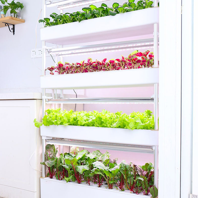 Thủy Canh Phát Triển Hệ Thống  - đánh giá và giá Smart Garden Vertical
