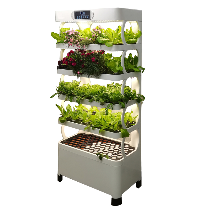 Indoor Smart Low Cost Hydropon - đánh giá và giá Smart Garden Vertical