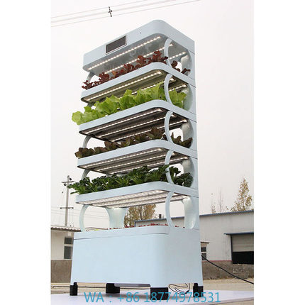 arming Home Hydroponic Growing - đánh giá và giá Smart Garden Vertical