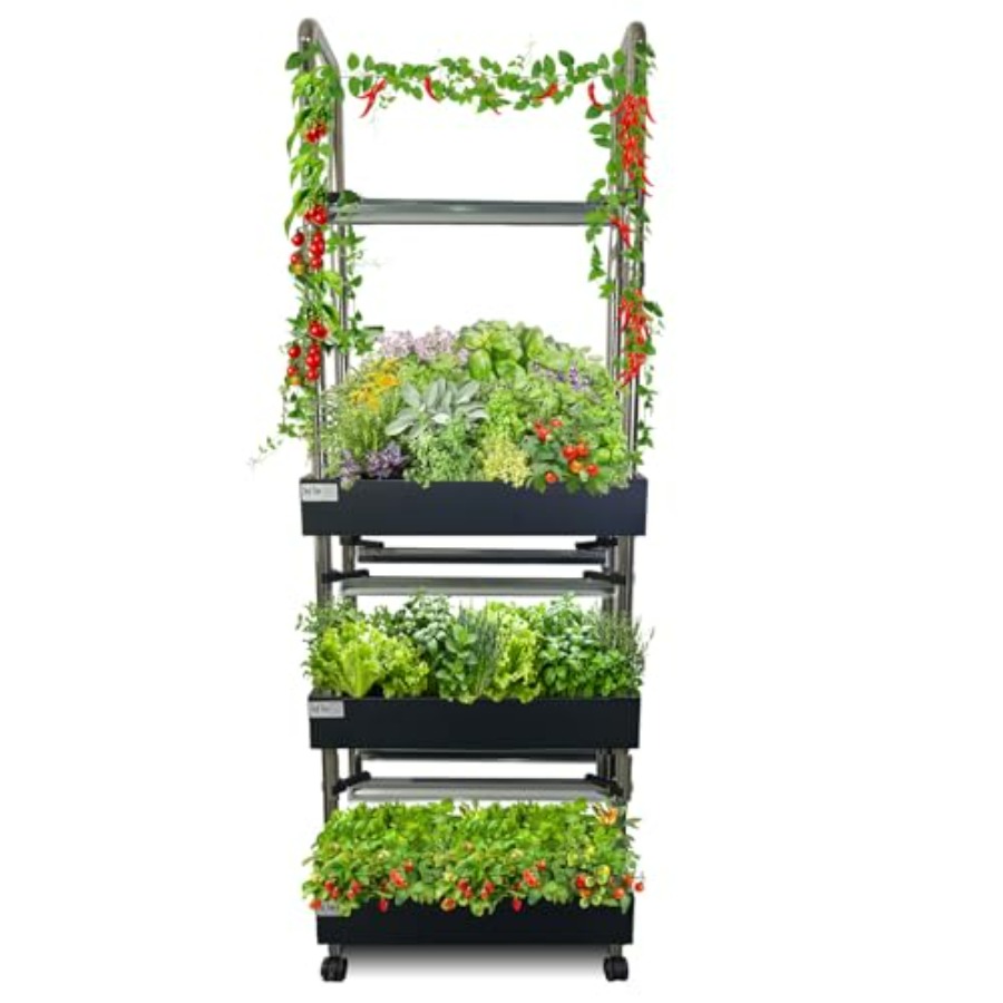 Indoor hydroponics growing sys - đánh giá và giá Smart Garden Vertical